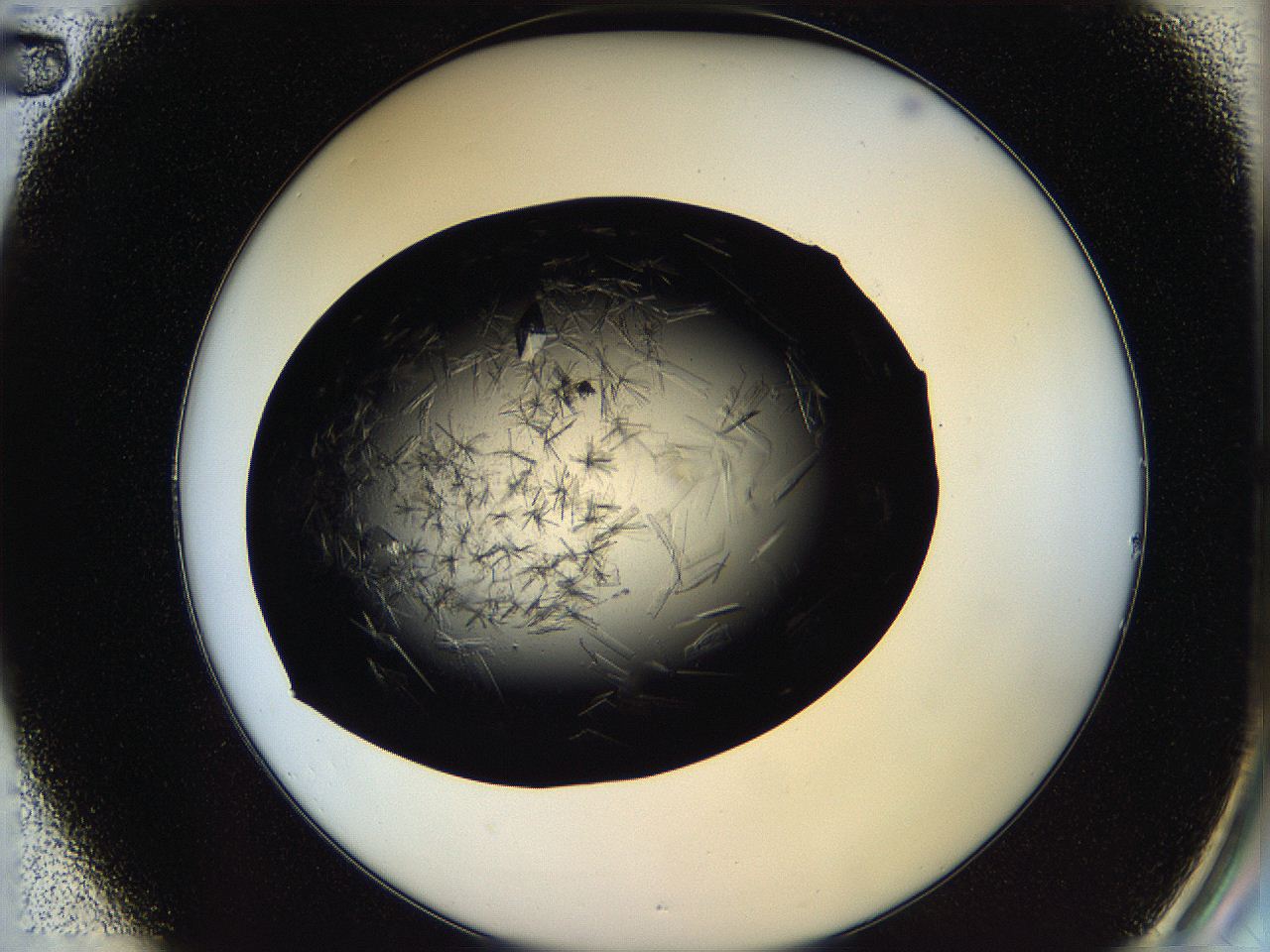 05oq_B2_ImagerDefaults_9.jpg