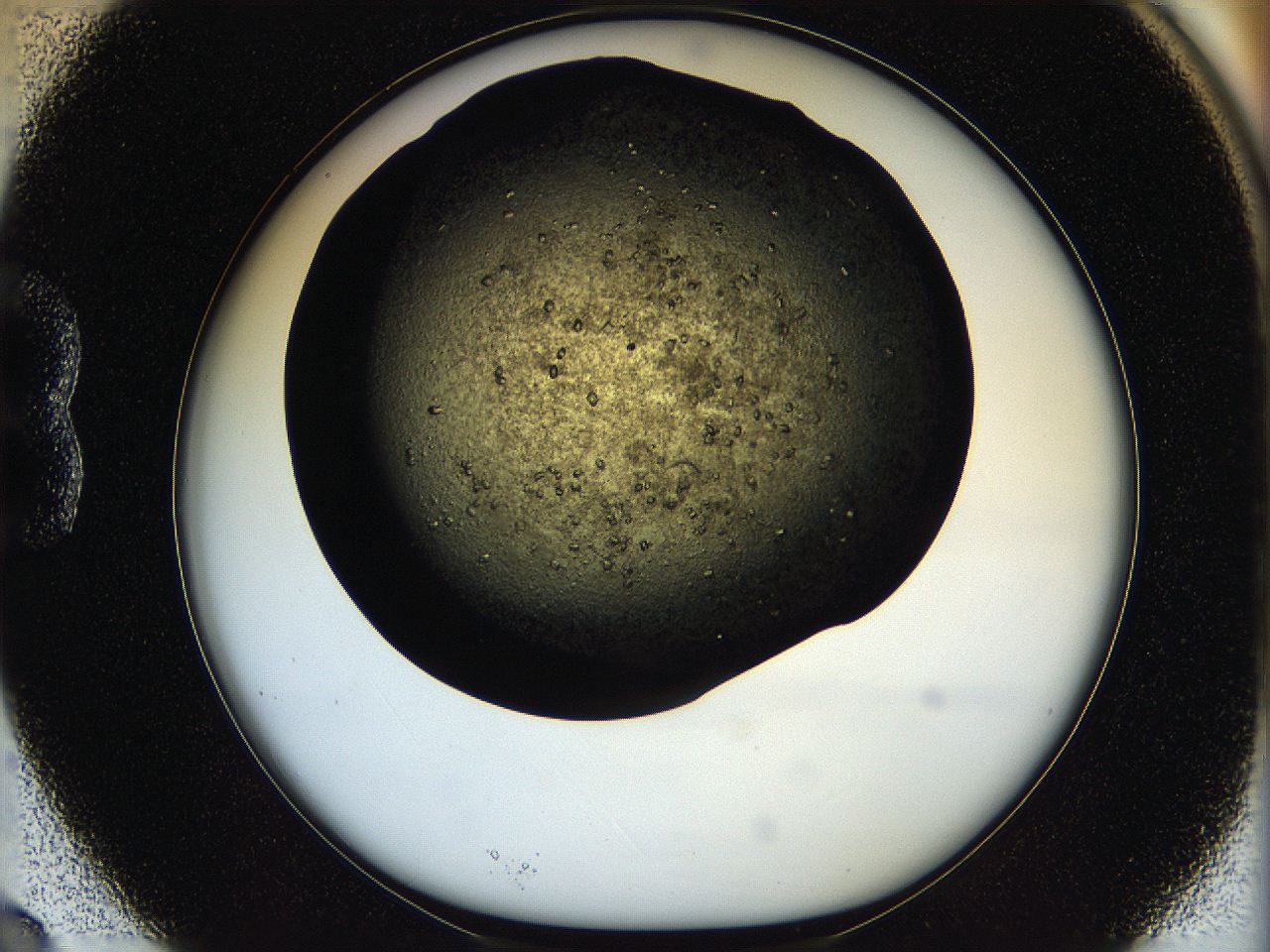05oq_B3_ImagerDefaults_7.jpg