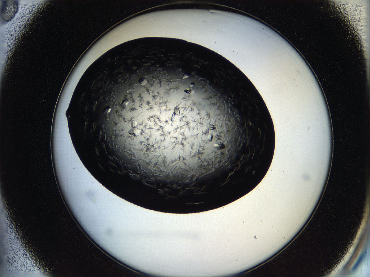 05oq_B3_ImagerDefaults_9.jpg