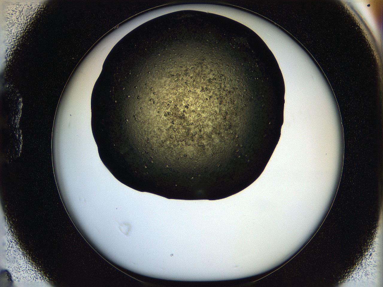 05oq_B4_ImagerDefaults_7.jpg