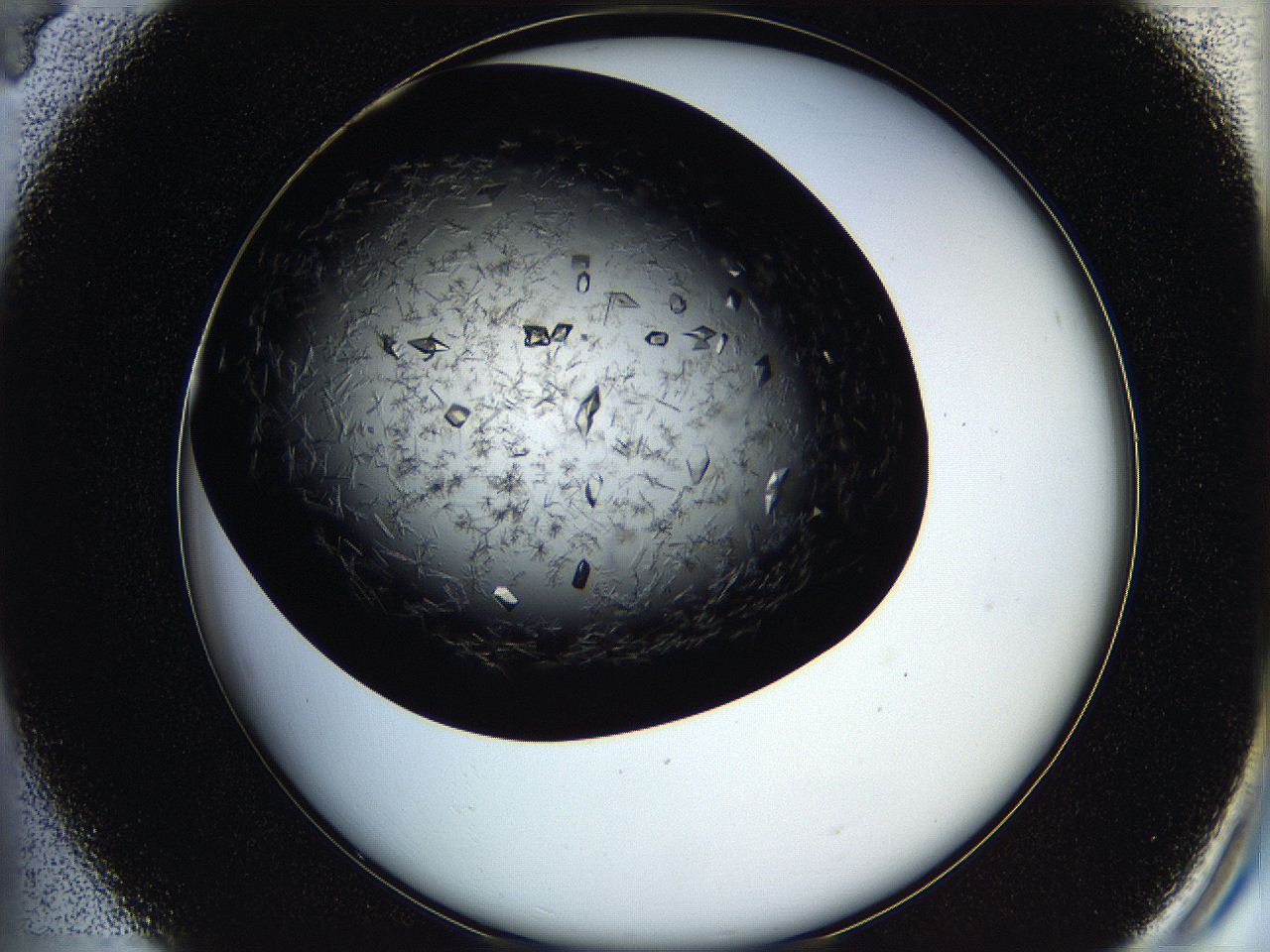 05oq_B4_ImagerDefaults_8.jpg