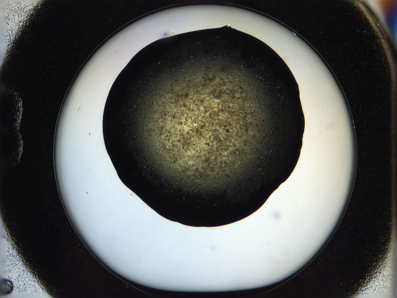 05oq_B5_ImagerDefaults_7.jpg