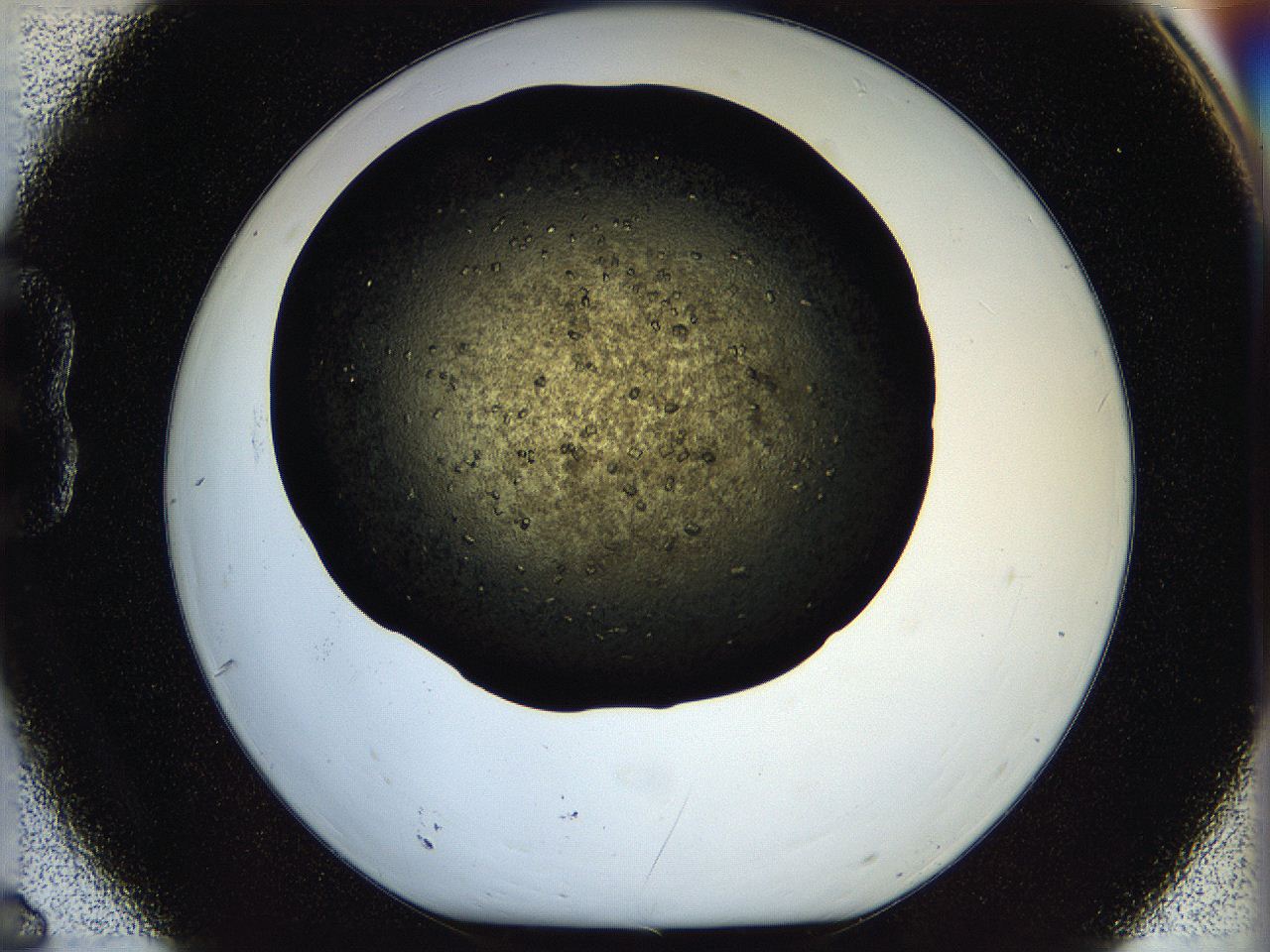 05oq_B6_ImagerDefaults_7.jpg