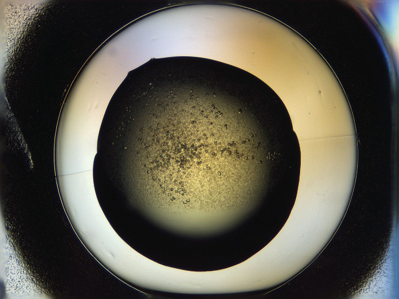 05oq_A1_ImagerDefaults_6.jpg