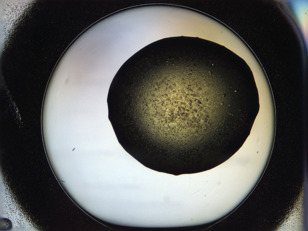 05oq_A5_ImagerDefaults_8.jpg