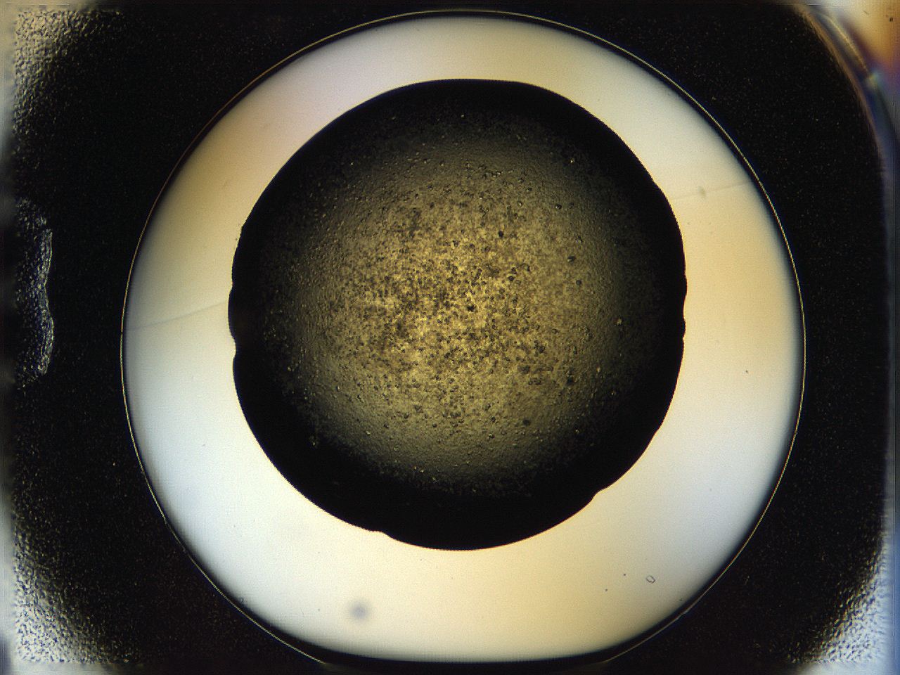 05oq_B1_ImagerDefaults_7.jpg