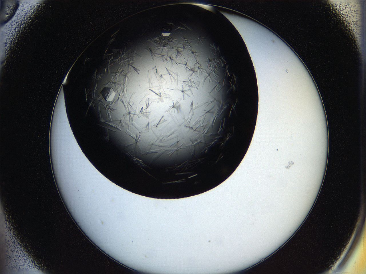 05oq_A5_ImagerDefaults_9.jpg