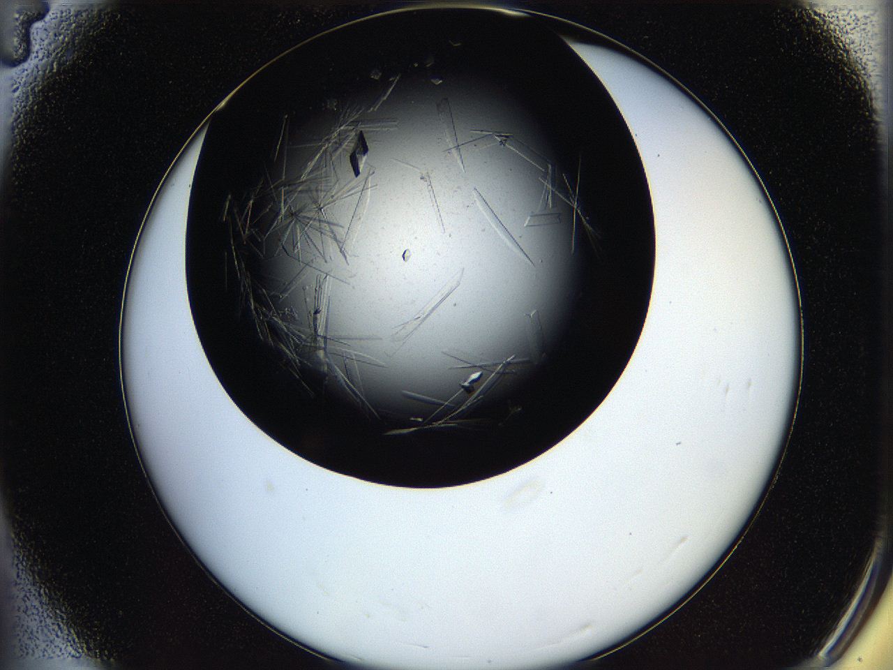 05oq_A4_ImagerDefaults_8.jpg