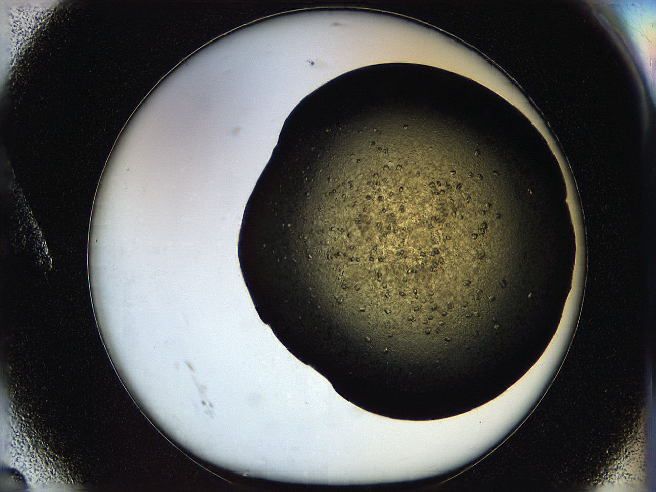 05oq_A6_ImagerDefaults_7.jpg
