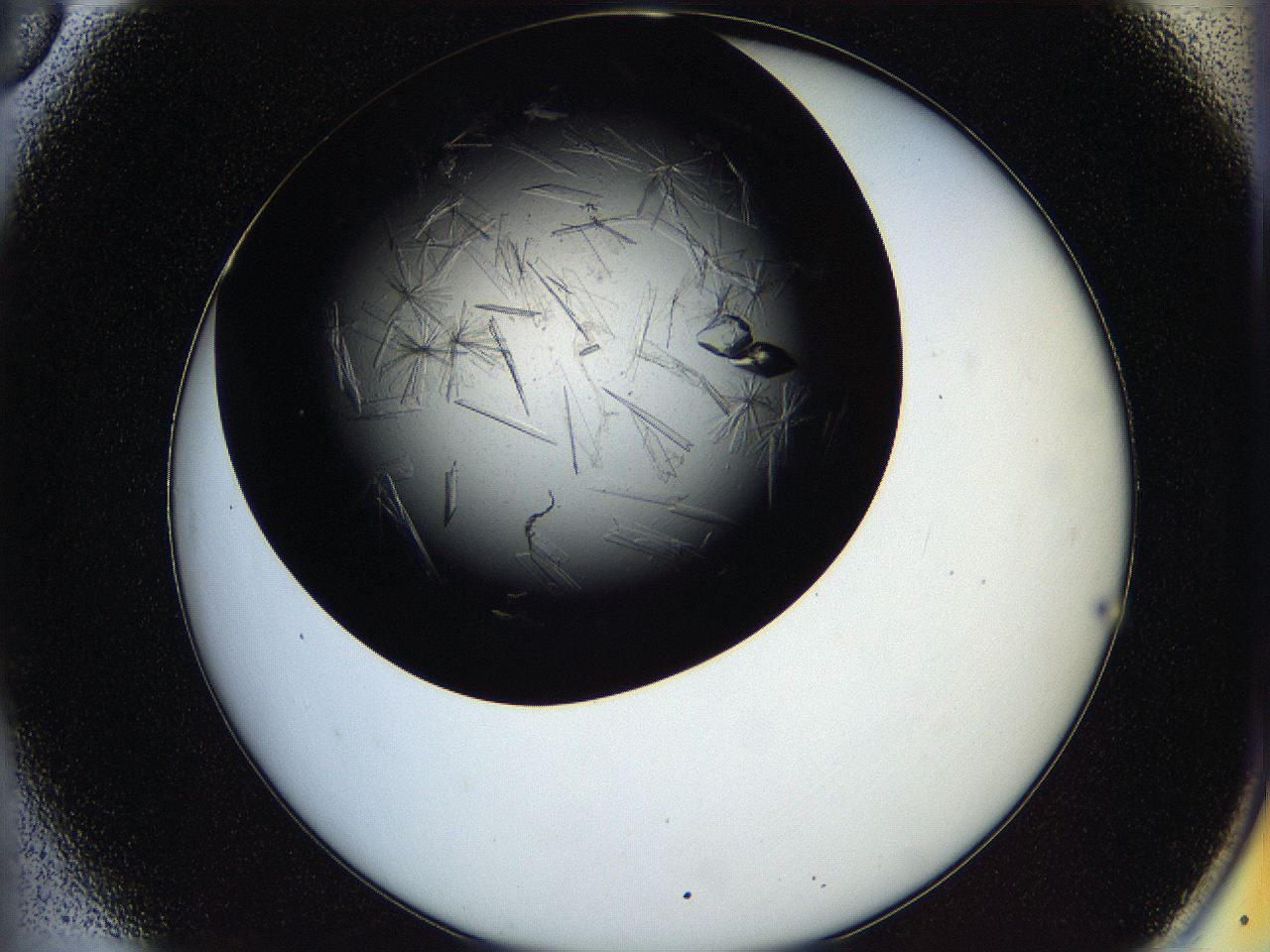 05oq_A6_ImagerDefaults_9.jpg