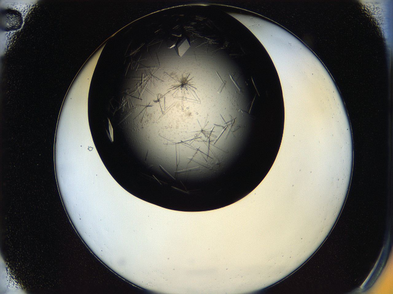 05oq_A2_ImagerDefaults_9.jpg