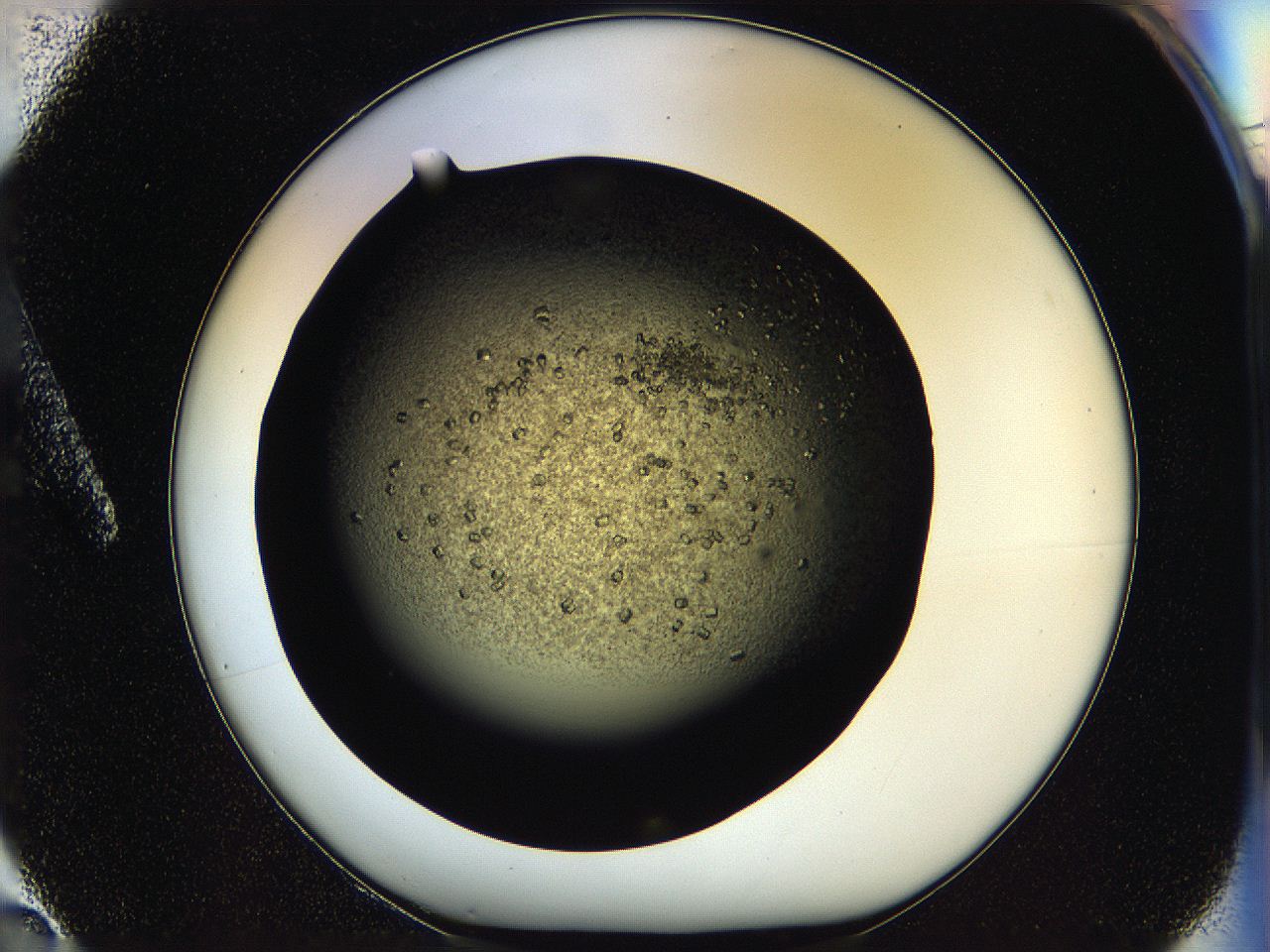 05oq_A2_ImagerDefaults_7.jpg