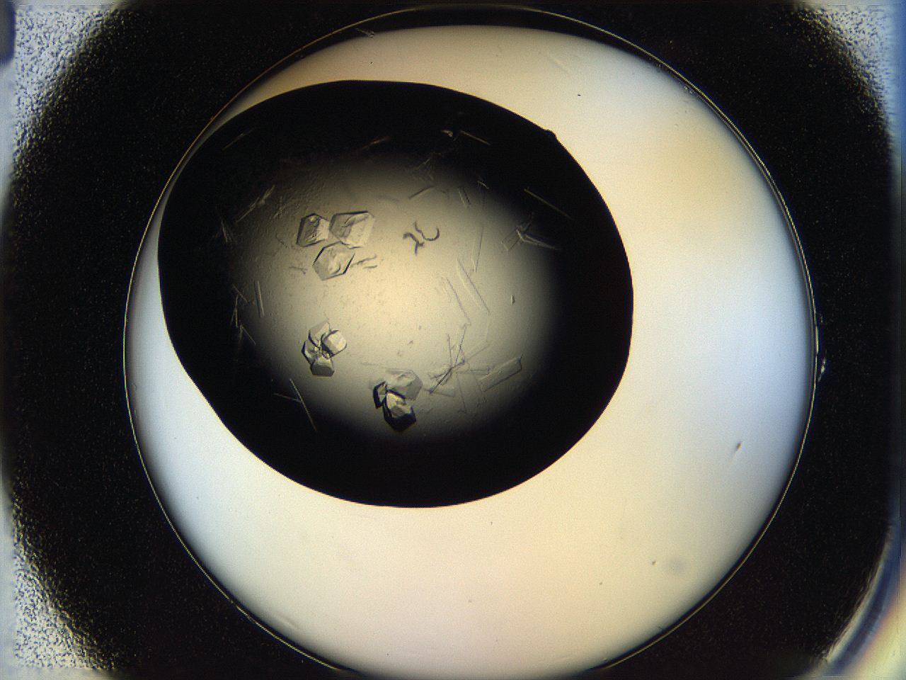 05oq_A1_ImagerDefaults_9.jpg