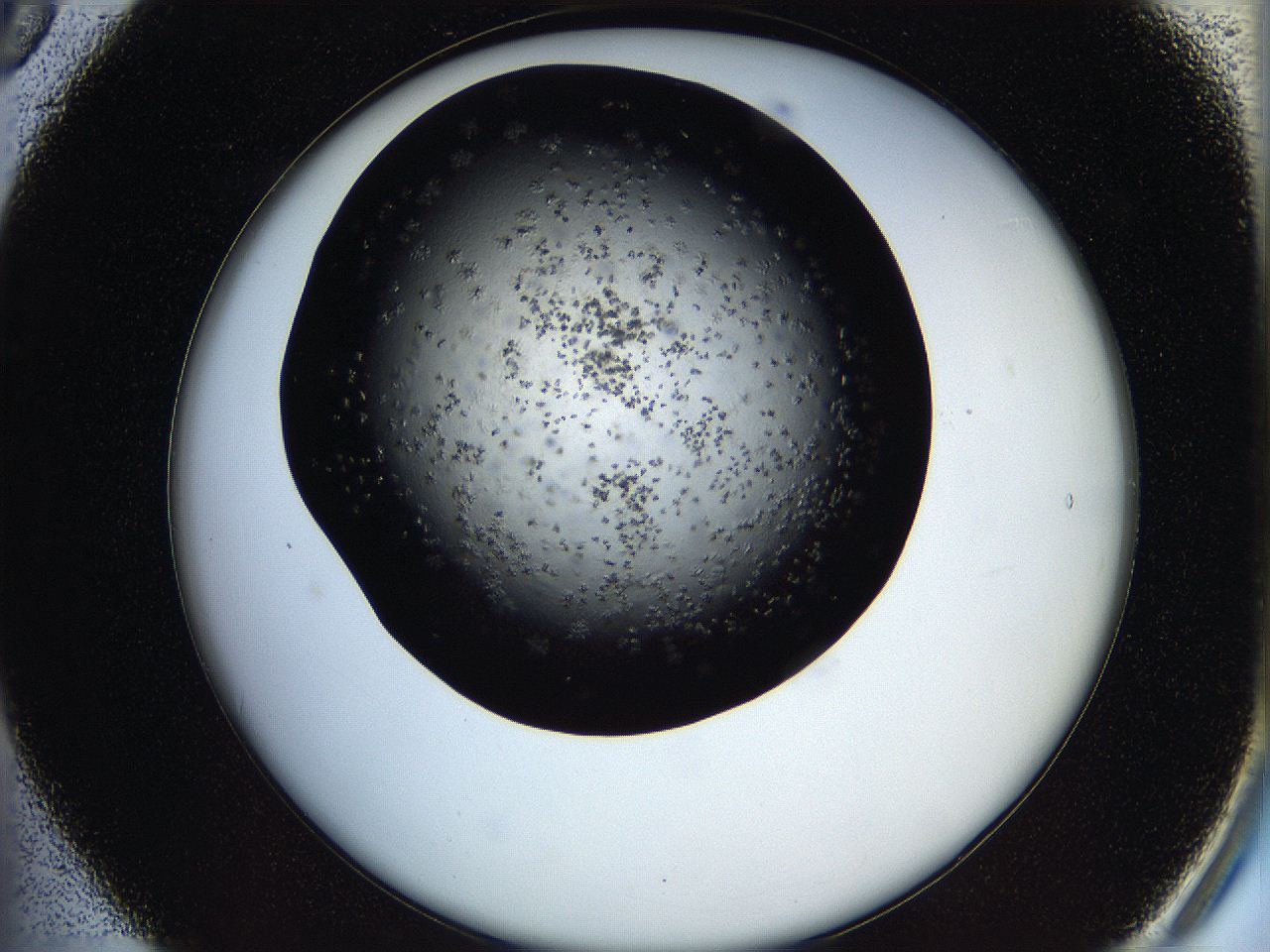 05os_B5_ImagerDefaults_7.jpg
