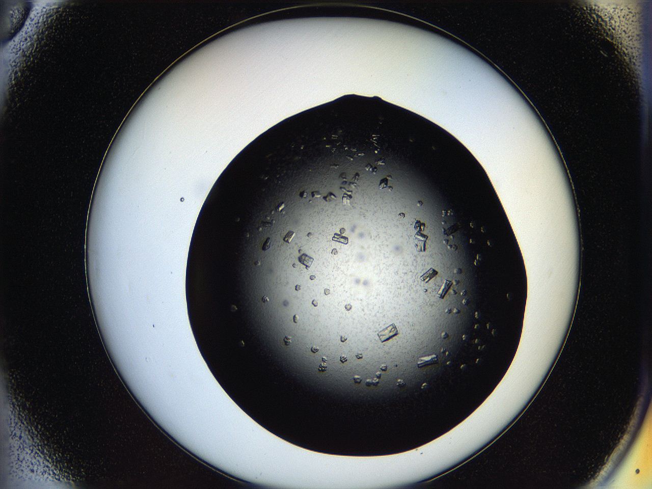 05os_A6_ImagerDefaults_8.jpg