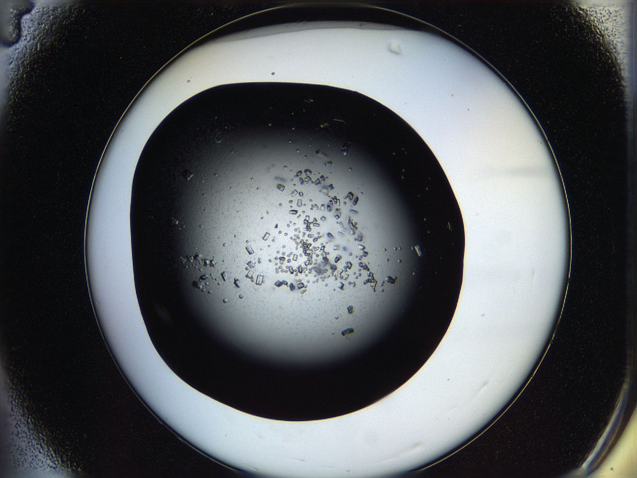 05os_A4_ImagerDefaults_7.jpg
