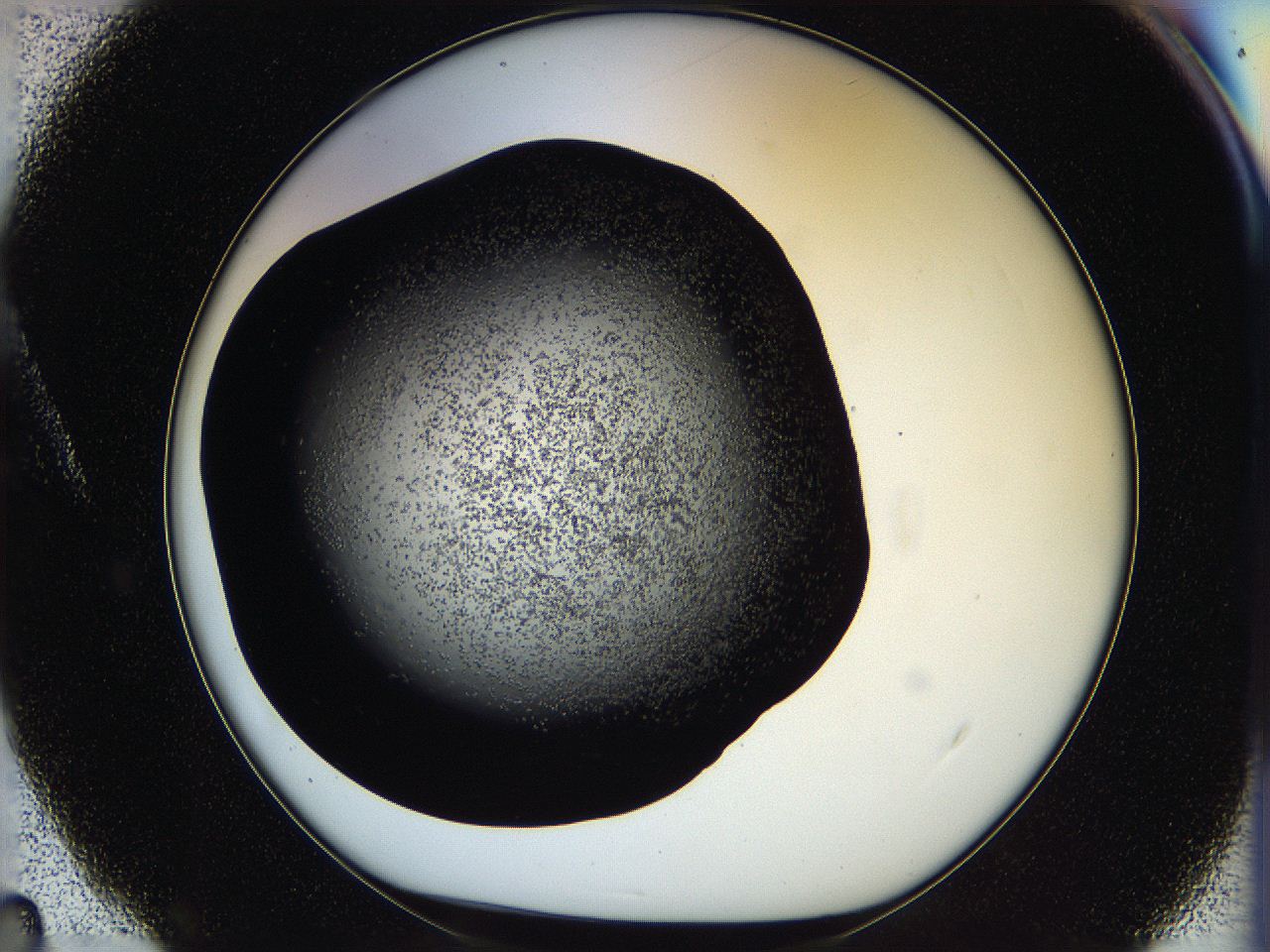 05os_A4_ImagerDefaults_6.jpg