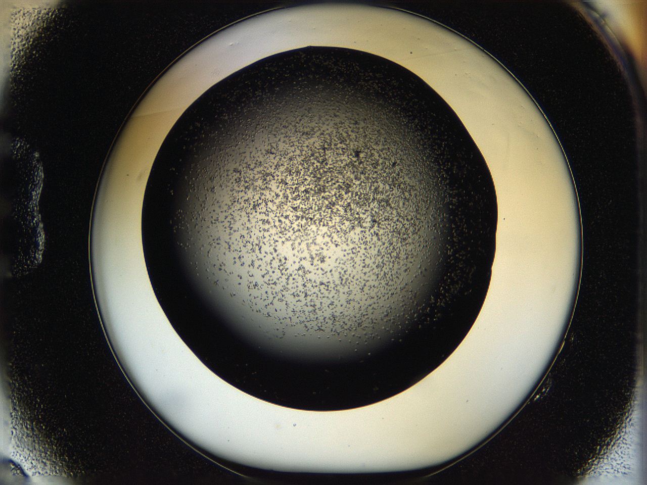 05os_B2_ImagerDefaults_6.jpg