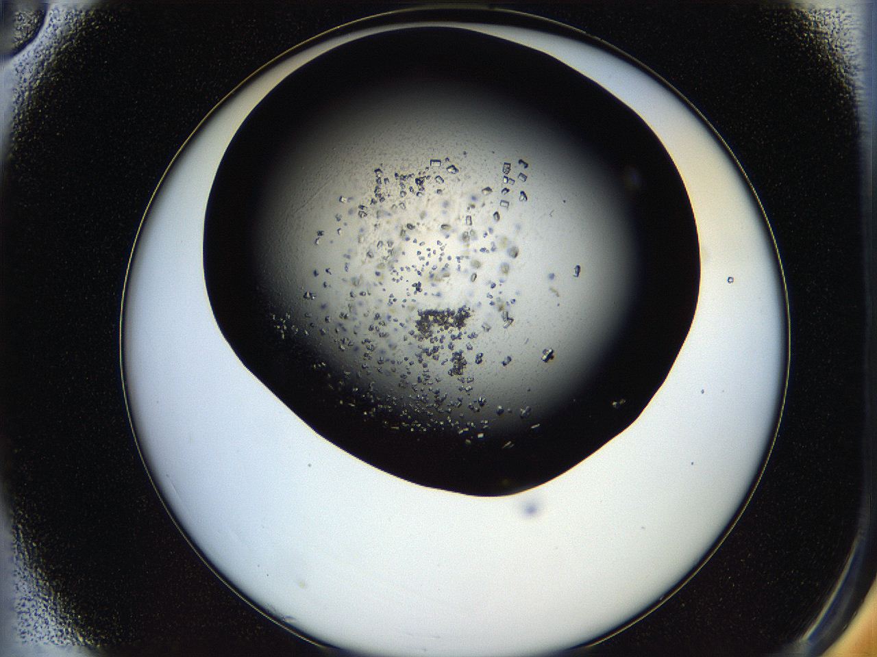 05os_A3_ImagerDefaults_7.jpg