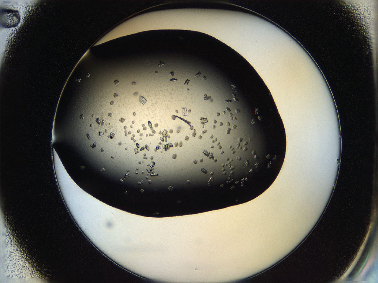 05os_B2_ImagerDefaults_7.jpg