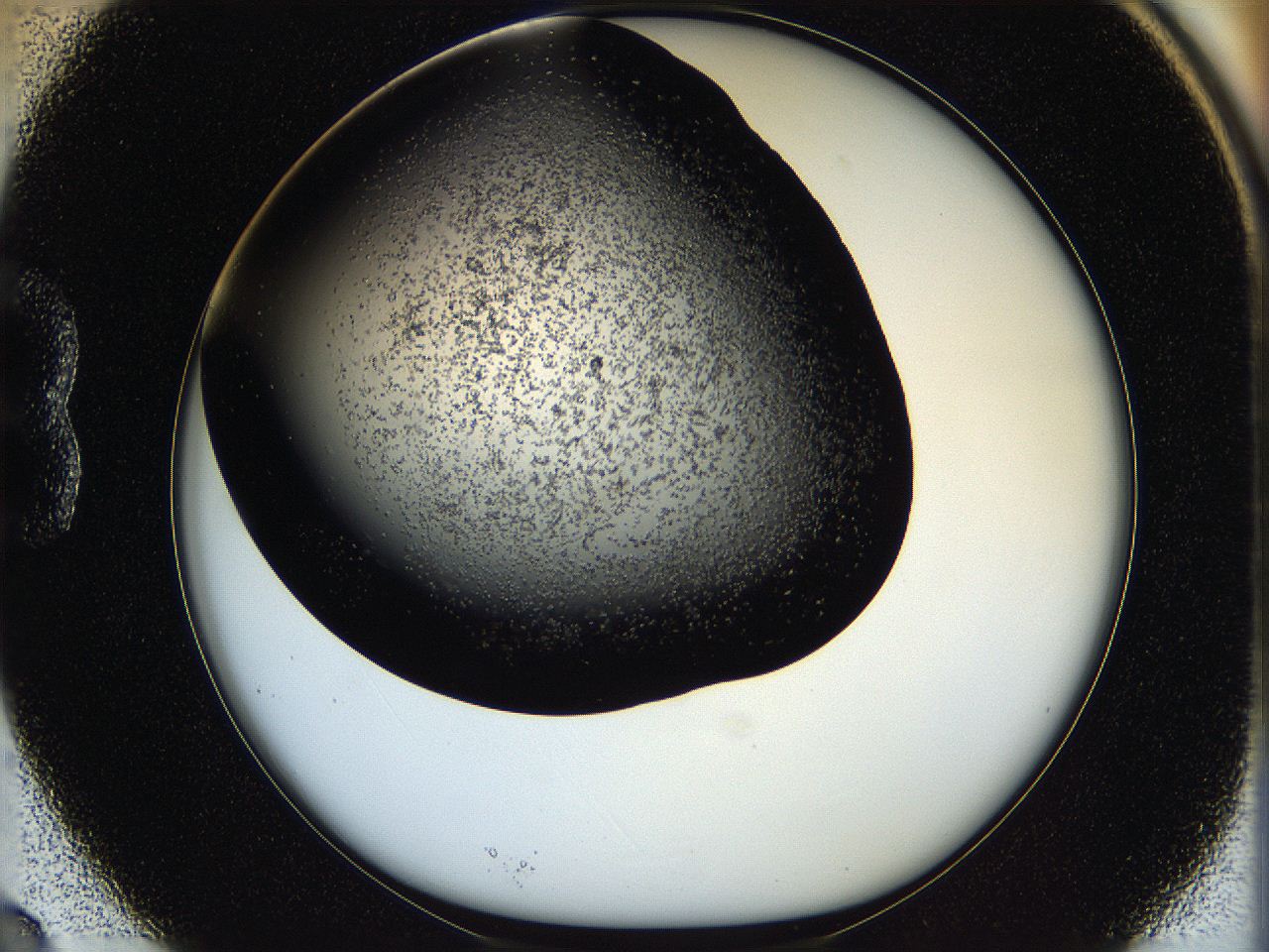 05os_B3_ImagerDefaults_6.jpg