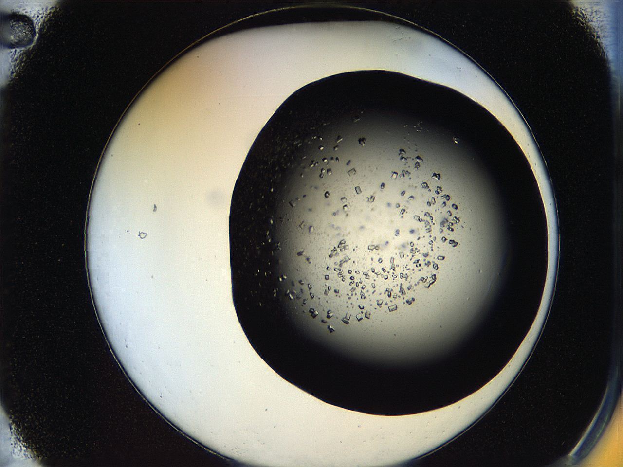 05os_A2_ImagerDefaults_7.jpg