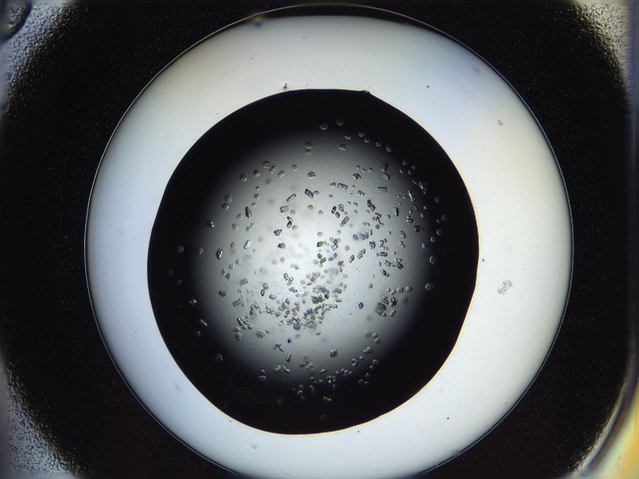 05os_A5_ImagerDefaults_7.jpg