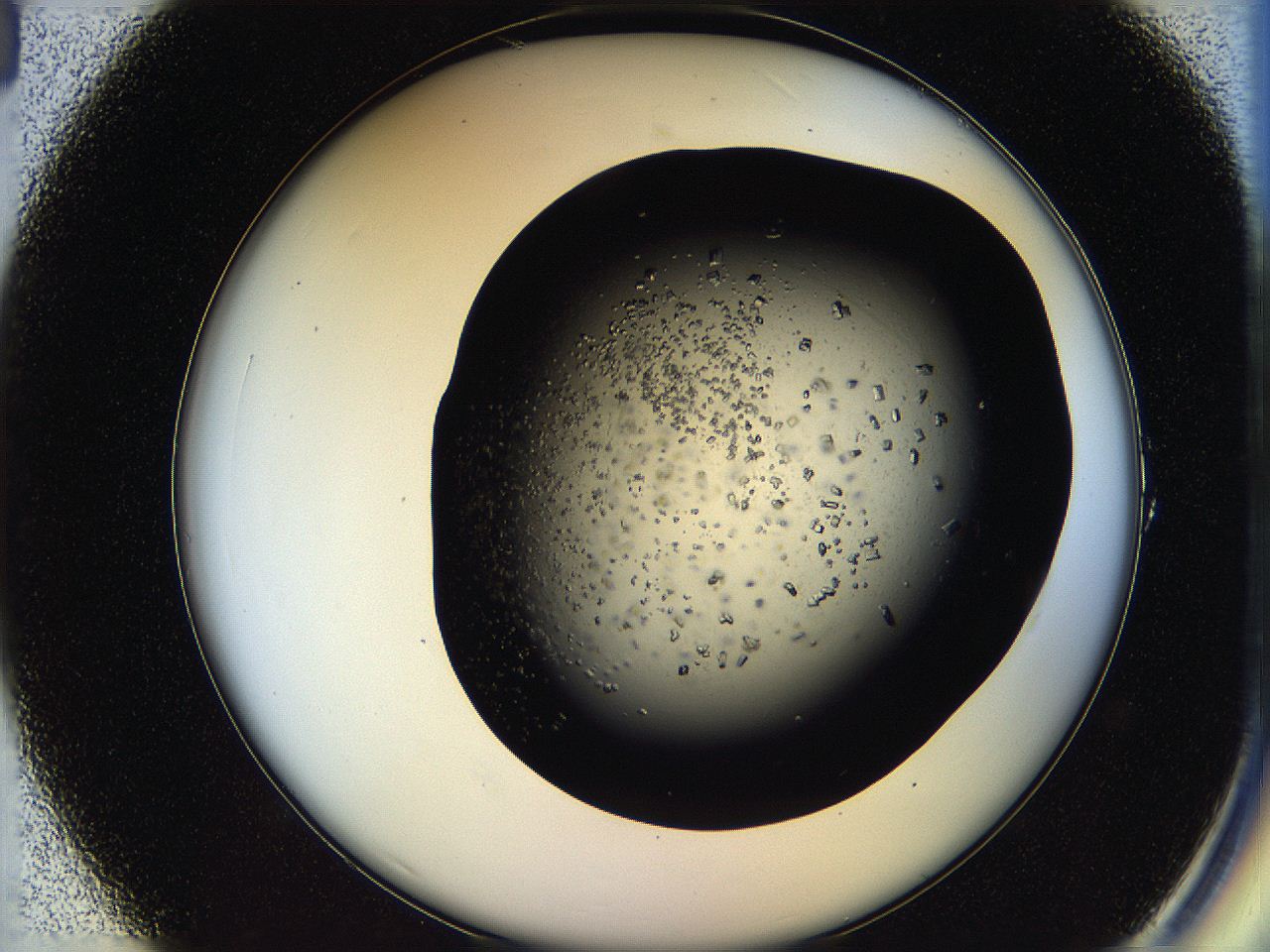 05os_A1_ImagerDefaults_7.jpg