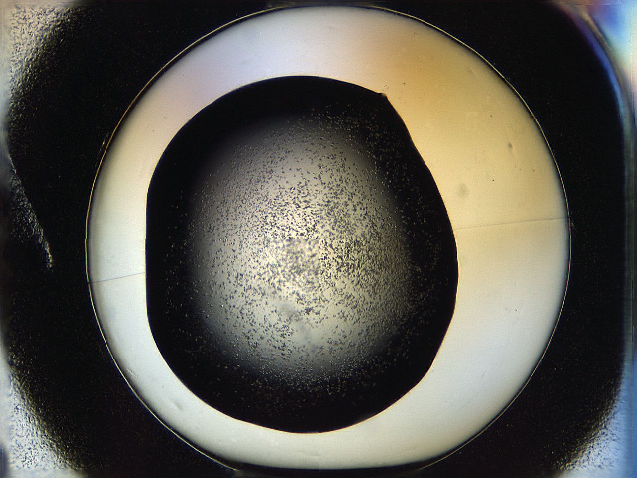 05os_A1_ImagerDefaults_6.jpg