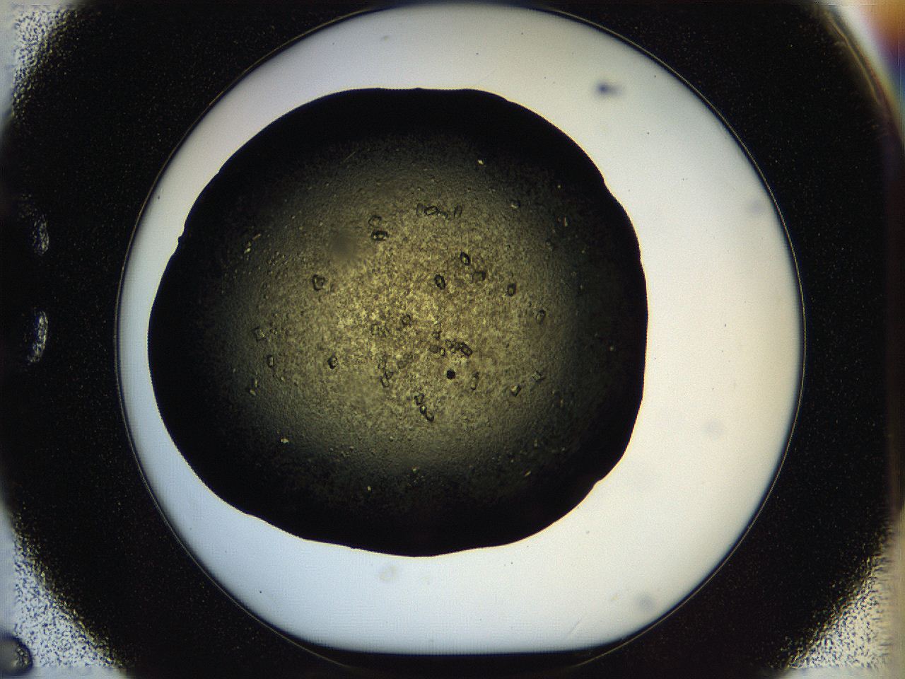 05ou_C6_ImagerDefaults_7.jpg