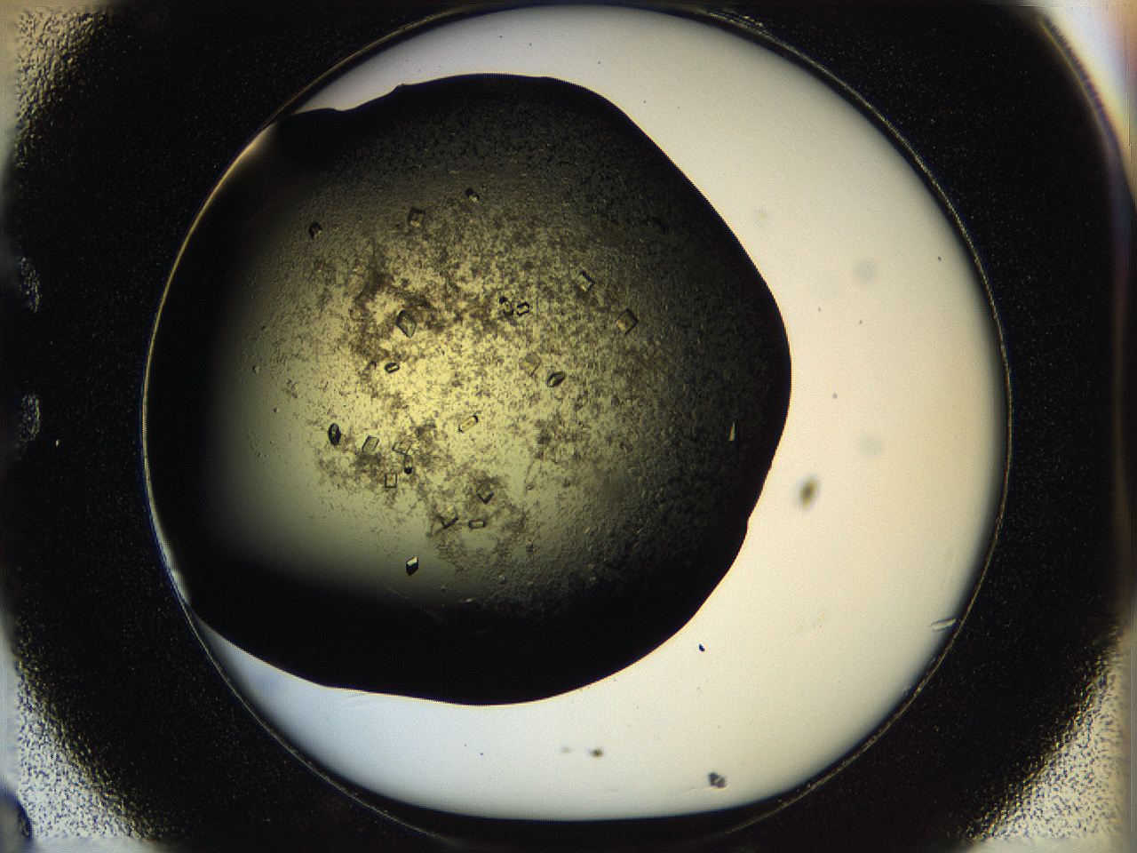 05ou_C8_ImagerDefaults_8.jpg