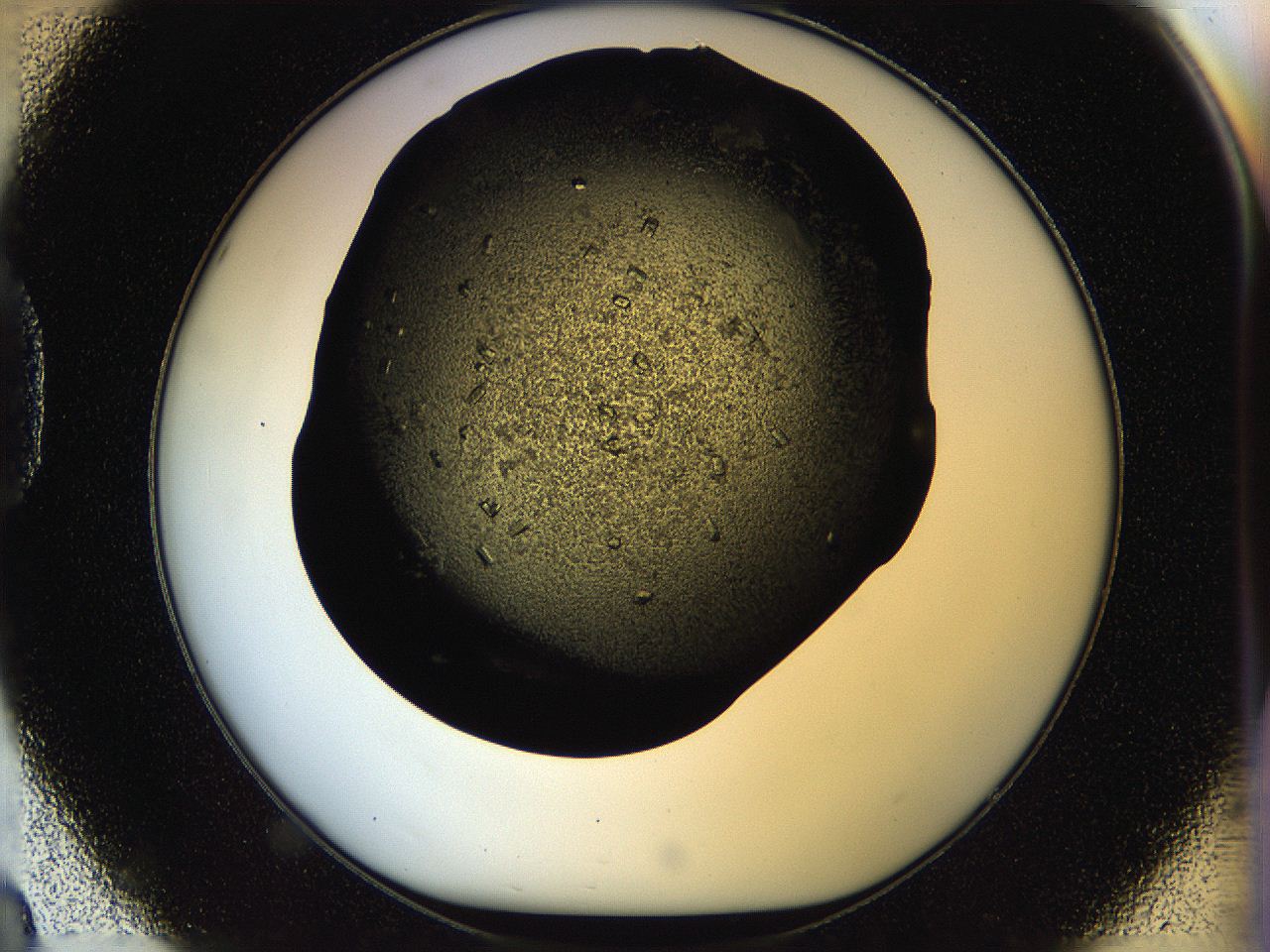 05ou_D8_ImagerDefaults_7.jpg