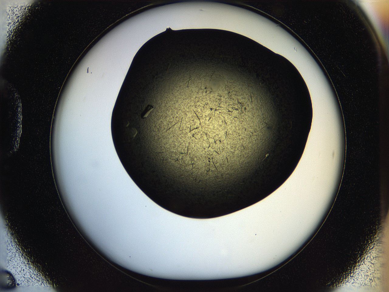 05ou_D6_ImagerDefaults_9.jpg