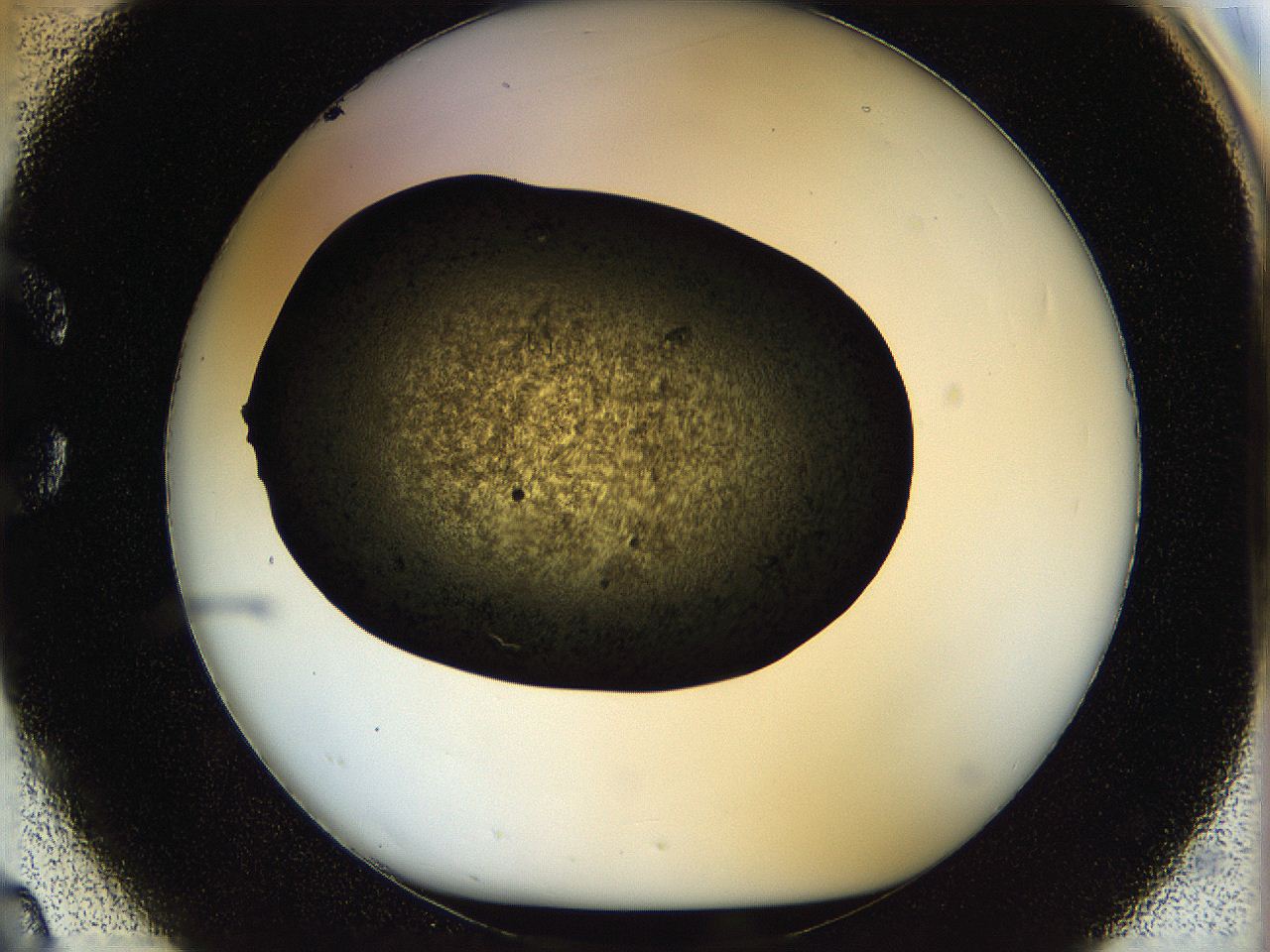 05ou_C2_ImagerDefaults_7.jpg