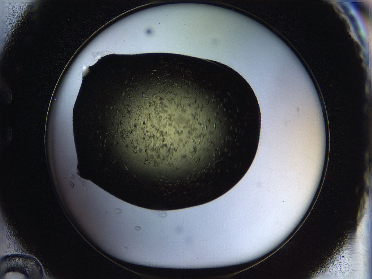 05ou_C12_ImagerDefaults_7.jpg