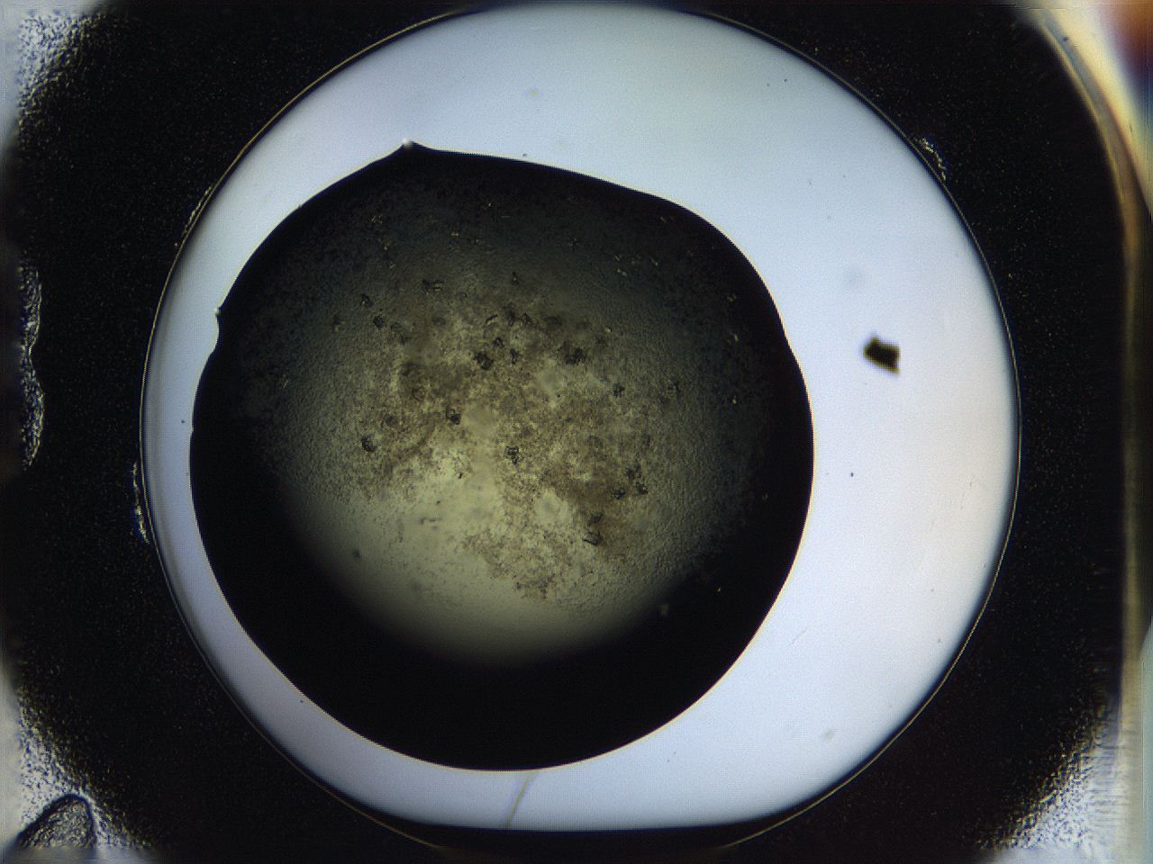 05ou_B11_ImagerDefaults_7.jpg