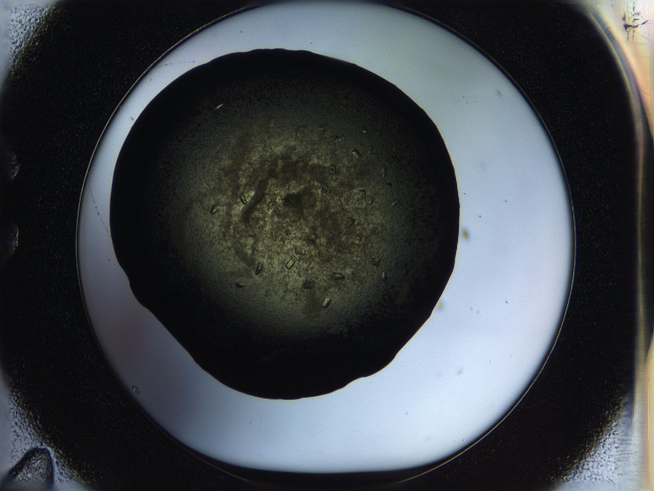 05ou_C11_ImagerDefaults_7.jpg