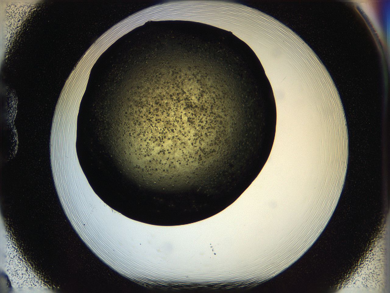 05ou_B8_ImagerDefaults_6.jpg