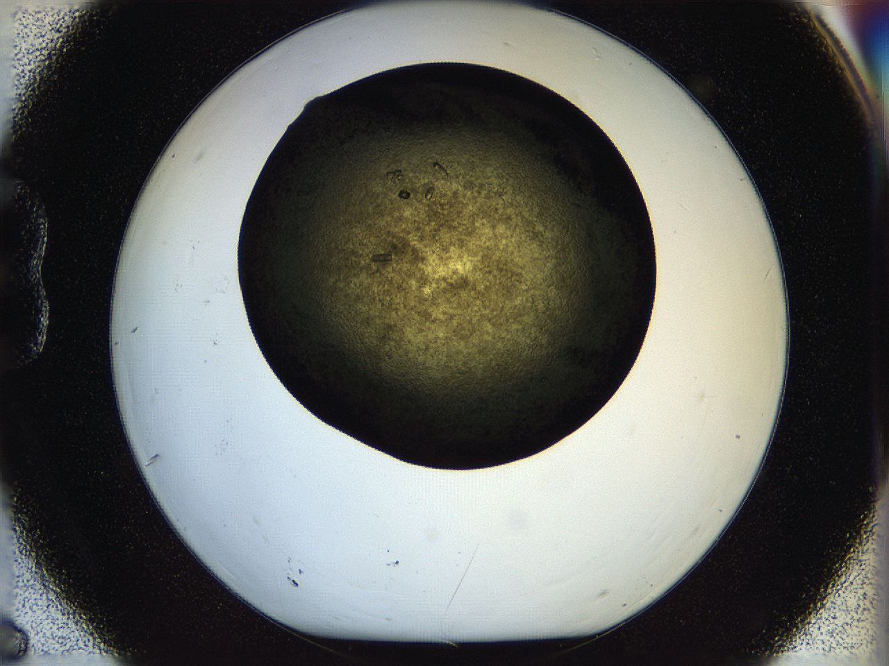 05ou_B6_ImagerDefaults_7.jpg