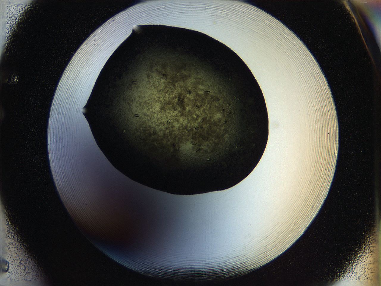 05ou_F5_ImagerDefaults_6.jpg