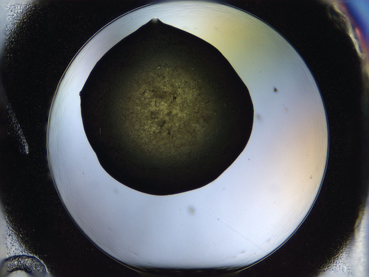 05ou_A12_ImagerDefaults_7.jpg