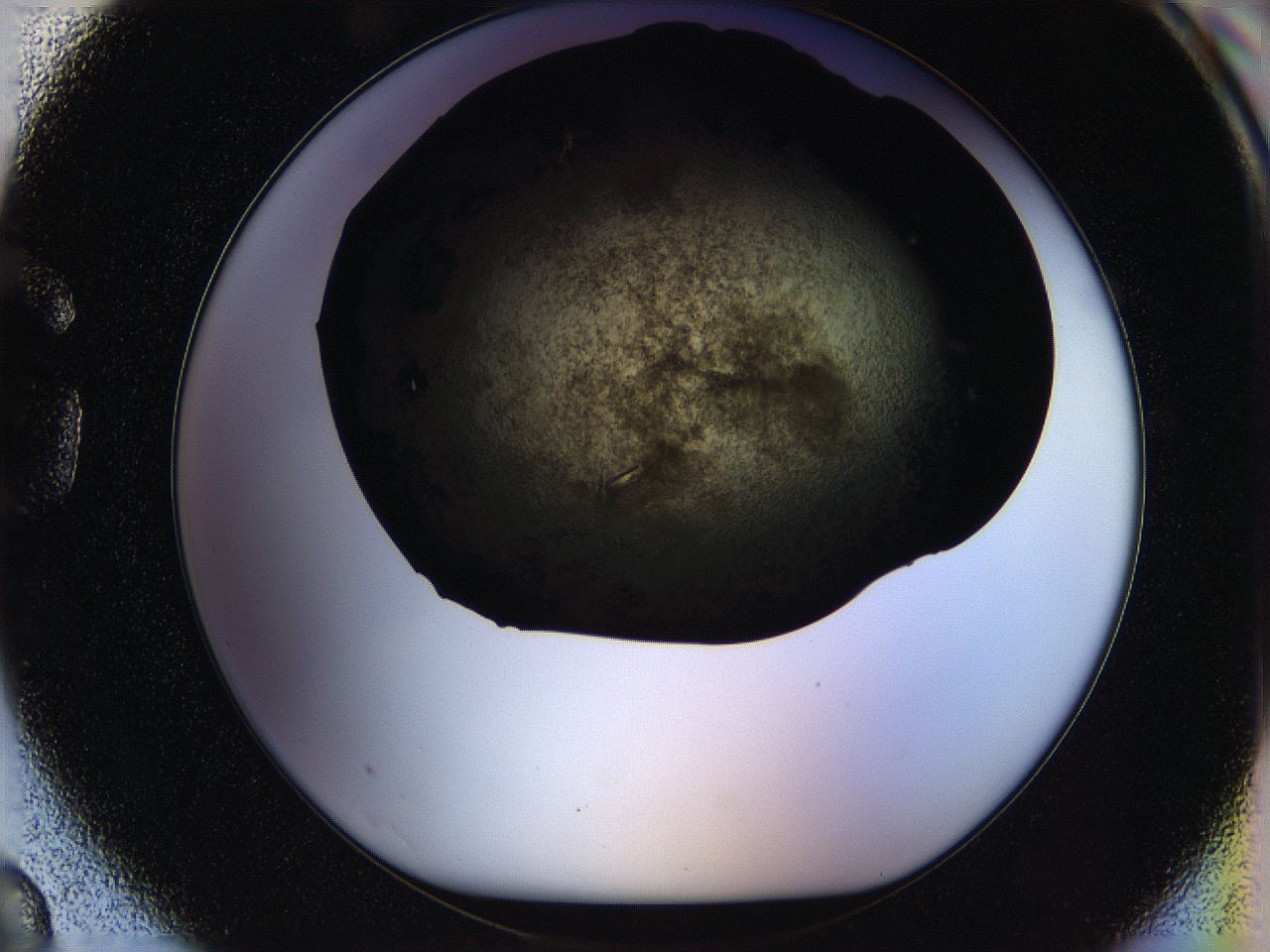 05ou_G3_ImagerDefaults_8.jpg