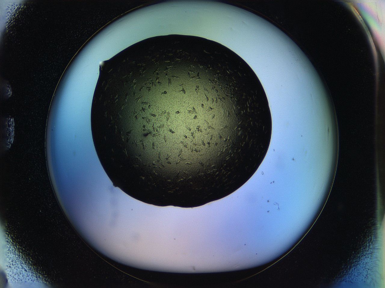 05ou_G8_ImagerDefaults_7.jpg