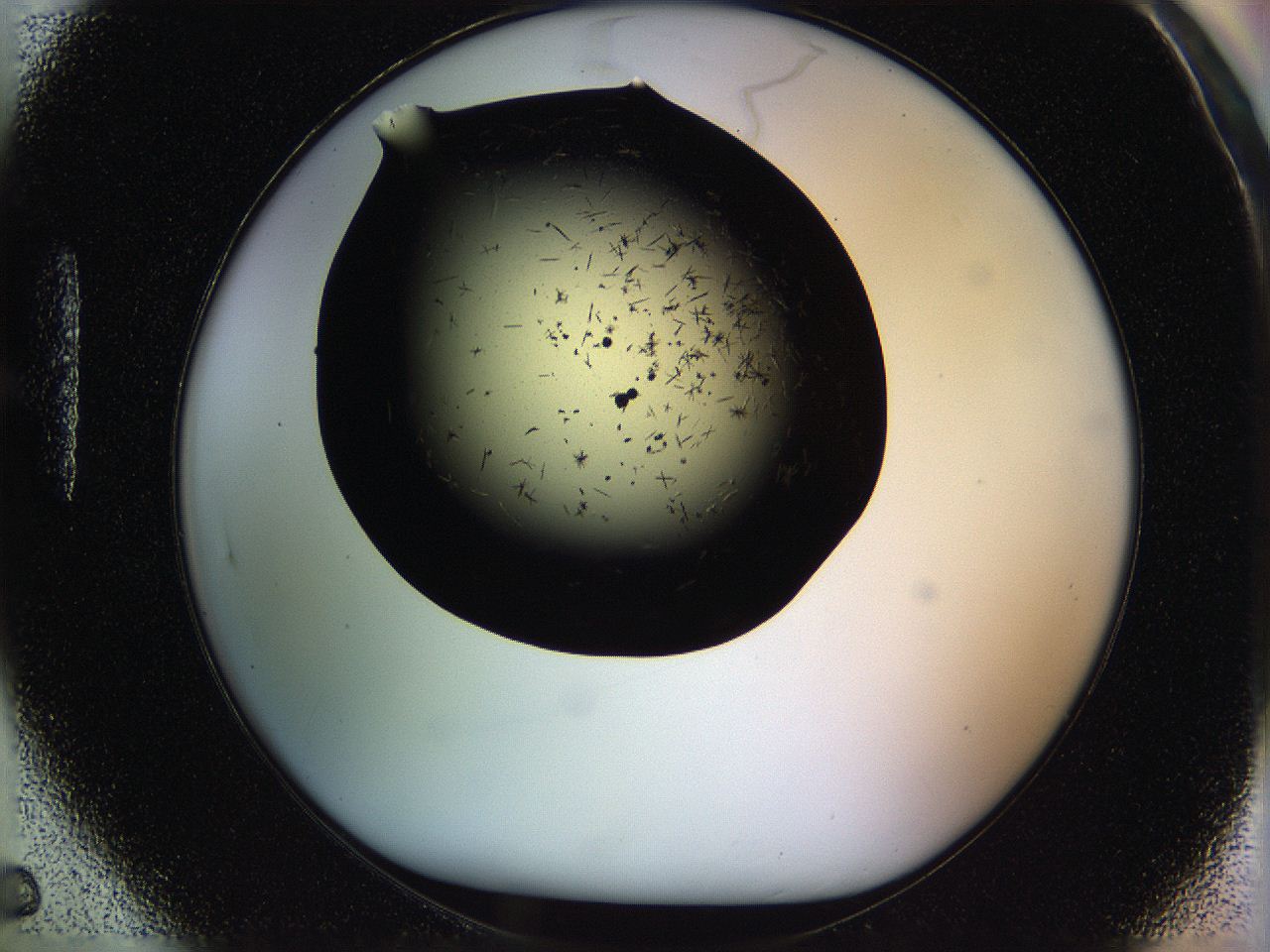 05ou_H5_ImagerDefaults_6.jpg