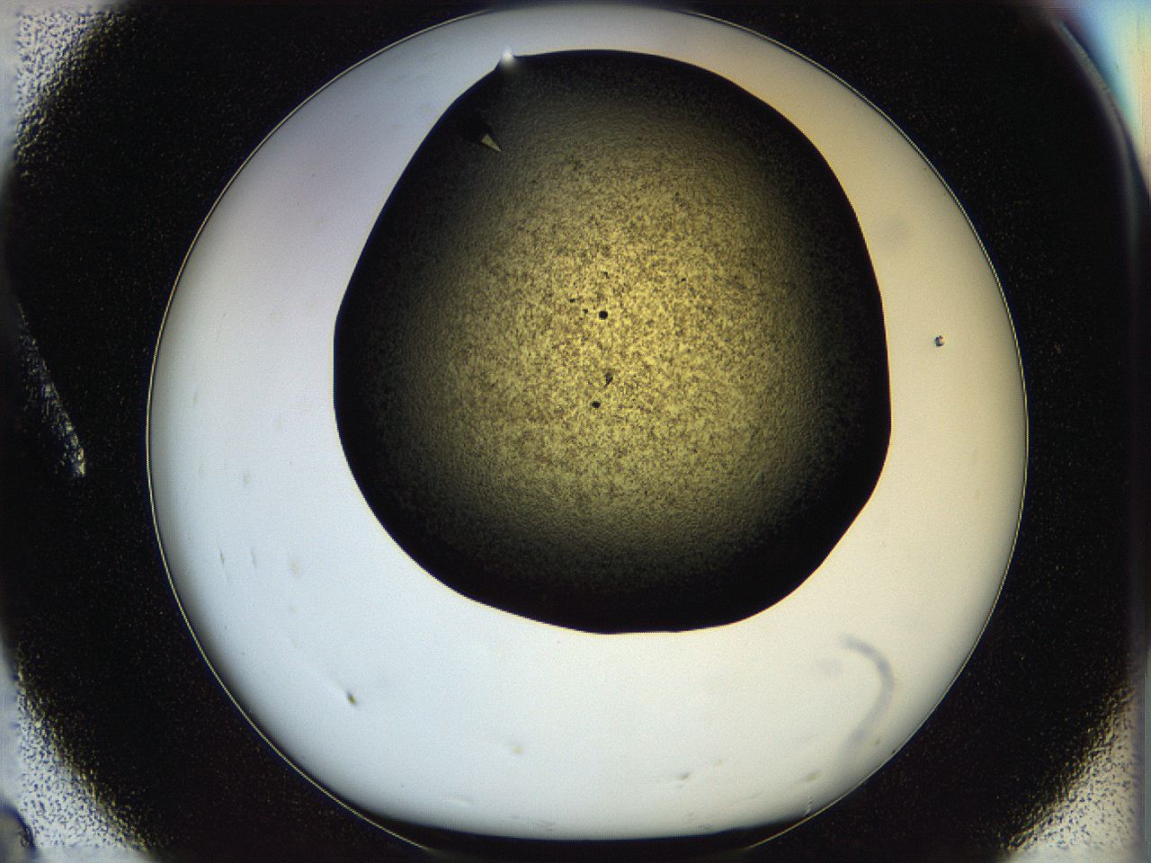 05ou_A8_ImagerDefaults_9.jpg
