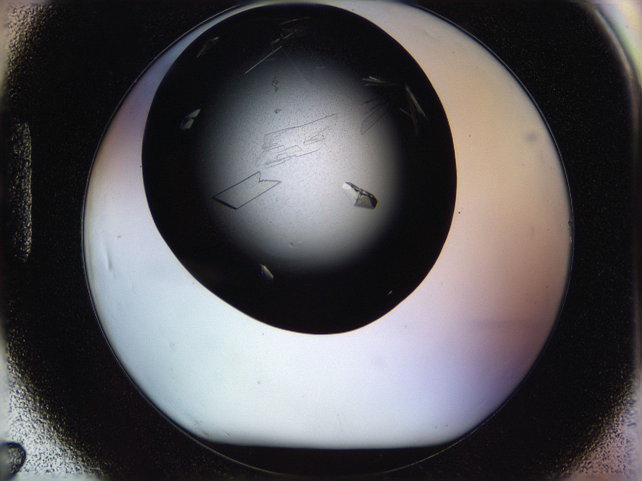 05ov_H7_ImagerDefaults_8.jpg