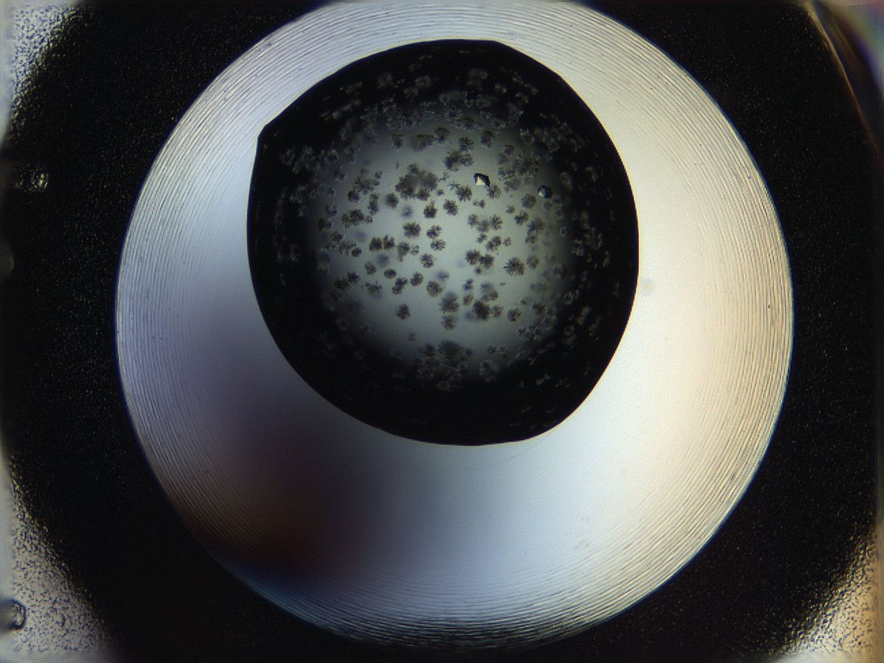 05ov_F5_ImagerDefaults_8.jpg