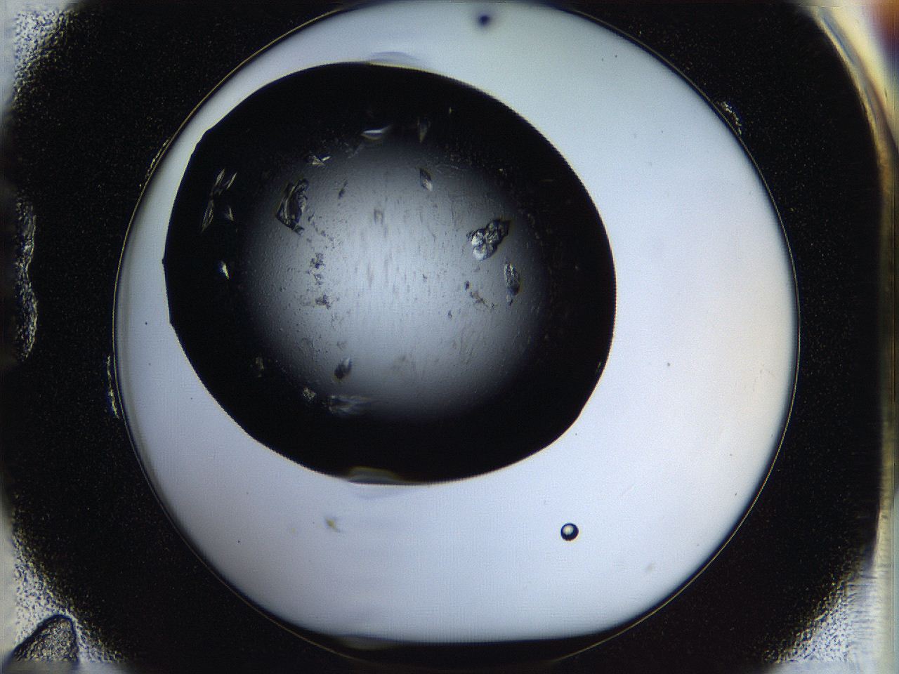 05ov_B11_ImagerDefaults_8.jpg