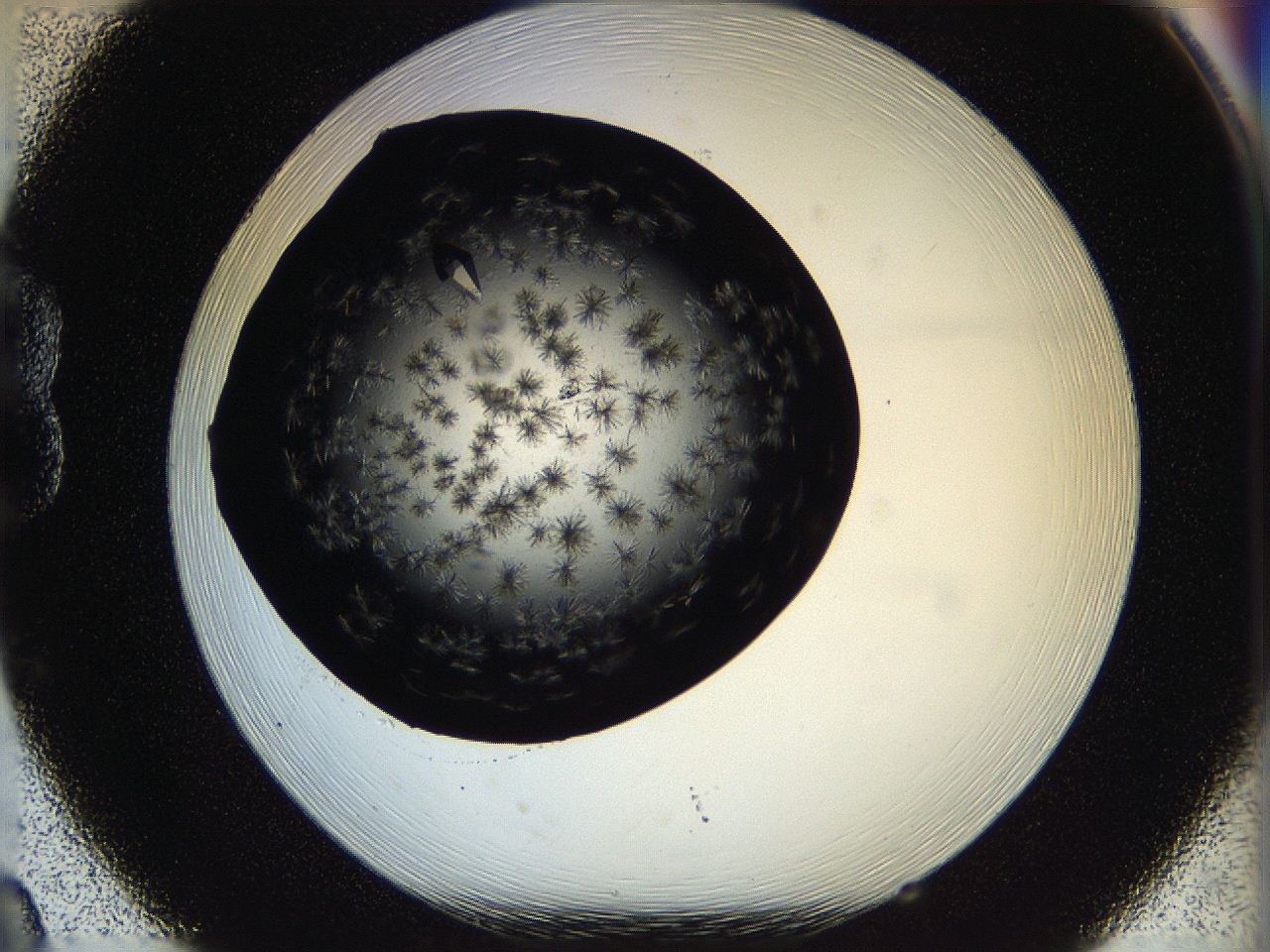 05ov_B8_ImagerDefaults_9.jpg