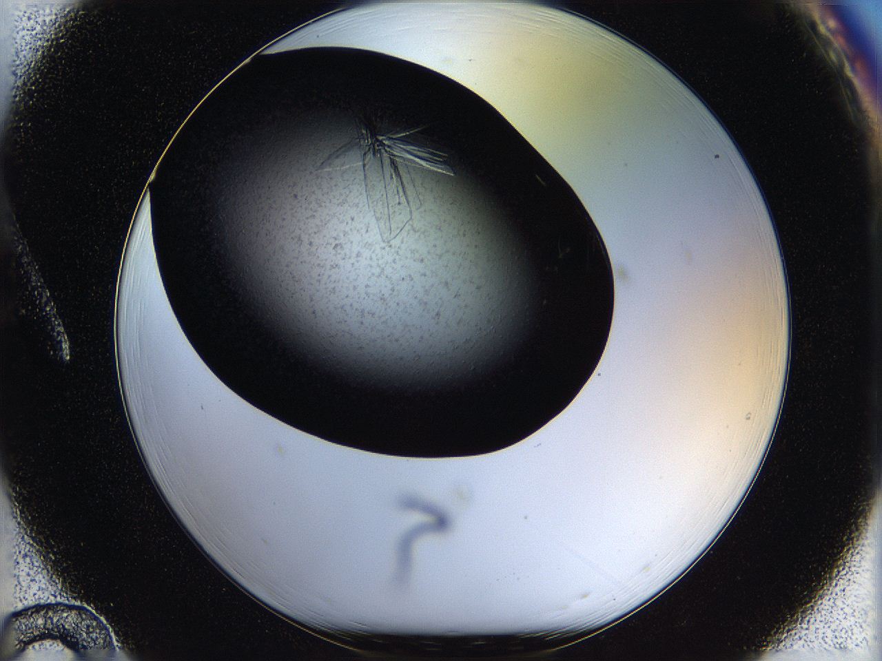 05ov_A12_ImagerDefaults_7.jpg